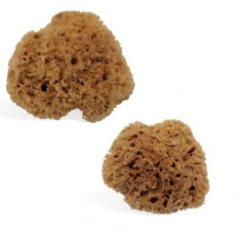 NATURAL MARINE SPONGE