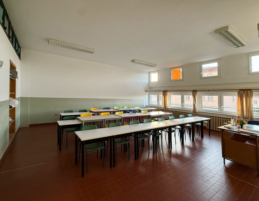 Isocolor fiesso d artico 6